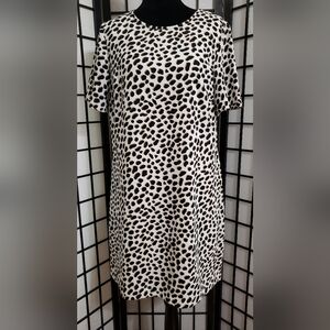 Ann Taylor Leopard Animal Print Shift Dress Size 10 Lined Short Sleeve